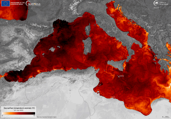 Intense_marine_heatwave_hits_the_western_Mediterranean_Sea_(Copernicus_2025-06-25)